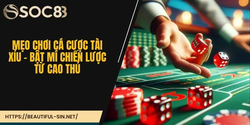 Mẹo chơi cá cược tài xỉu - Bật mí chiến lược từ cao thủ